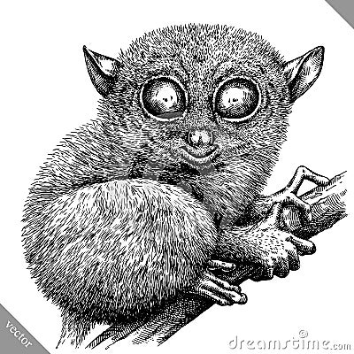 Black and white engrave isolated tarsier vector illustration Vector Illustration