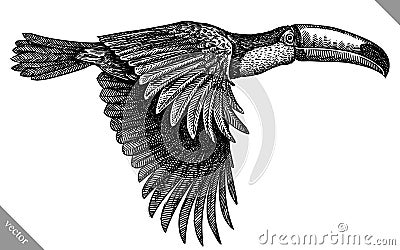 black and white engrave isolated toucan vector illustration Vector Illustration