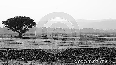 Black and white ethiopian landscape Stock Photo