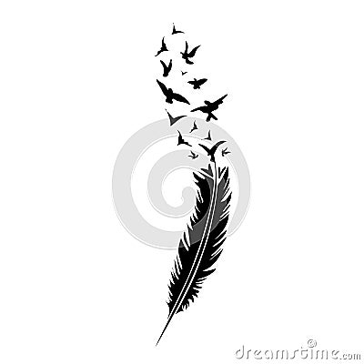 Black-and-white feather on black backround Vector Illustration