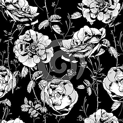 Black and White Floral Seamless Background Vector Illustration