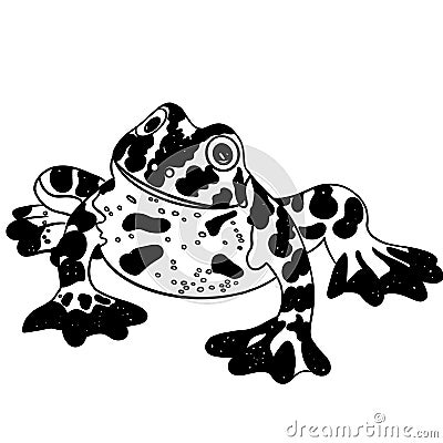 black and white frog queen of the lake white background art illustration Cartoon Illustration