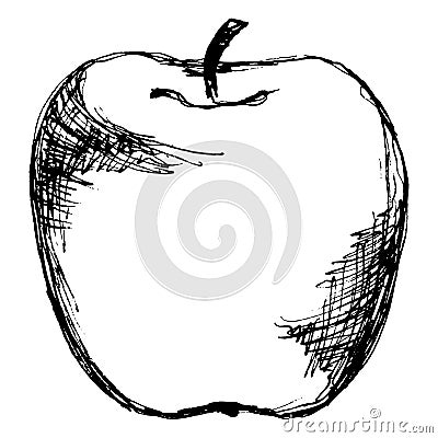 Black and white fruit apple line art isolated vector Vector Illustration