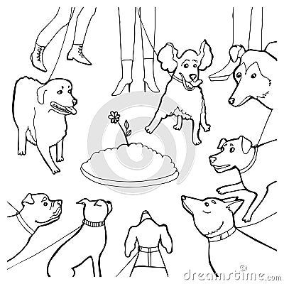 Black and White Cartoon Vector Illustration of Evening dogs walk for Coloring Book Vector Illustration