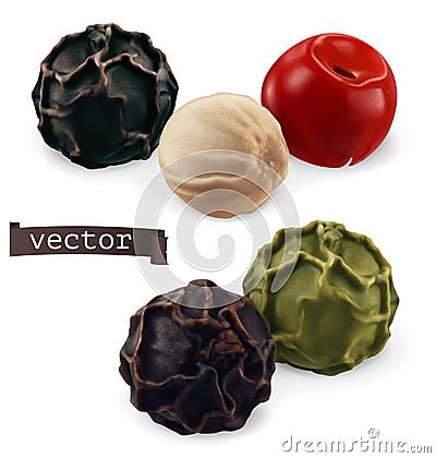 Black, white, green, pink pepper. Peppercorn close-up. 3d vector illustration Vector Illustration