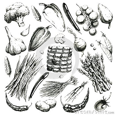 Black-white hand-drawn set of vegetables. Jpeg Stock Photo