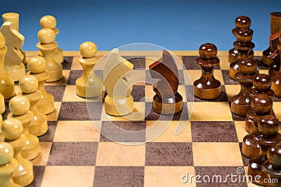 Black and White horse of chess setup on dark background . Leader and teamwork concept for success. Stock Photo