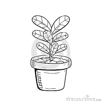 Black and white illustration of cartoon ficus plant Vector Illustration