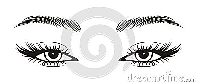Black and white illustration of female eyes with long eyelashes and eyebrows. Beauty logo eyelash salon logo Vector Illustration