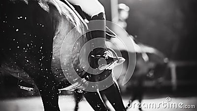 Black-white image of a fast horse with a rider in the saddle, which runs at a gallop and raises the hooves of the air sand from Stock Photo