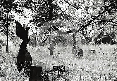 Black and white image of the Old Brompton Cemetery in London Editorial Stock Photo