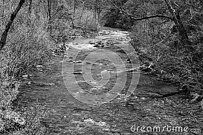 A Black and White Image of a Wild Mountain Trout Stream Stock Photo