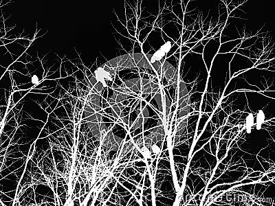 Black and white inverted gothic horror image of crows on a tree Stock Photo