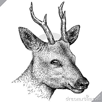 Black and white engrave isolated deer vector illustration Vector Illustration