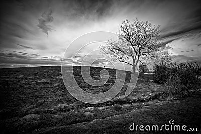 Black and White Landscape of Hill and Leafless Tree Stock Photo