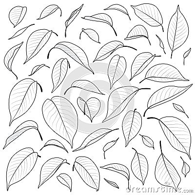 Black and White Leaves Set Vector Illustration