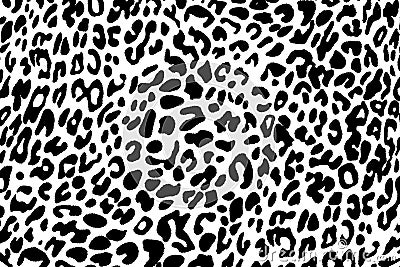 Black and white leopard skin pattern Stock Photo