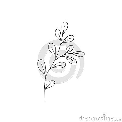 Black and white line art decoration of leaves. Vector isolated clipart. Minimal monochrome hand drawing botanical design. Contour Vector Illustration