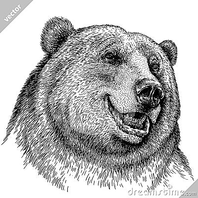 Black and white linear paint draw bear vector illustration Vector Illustration
