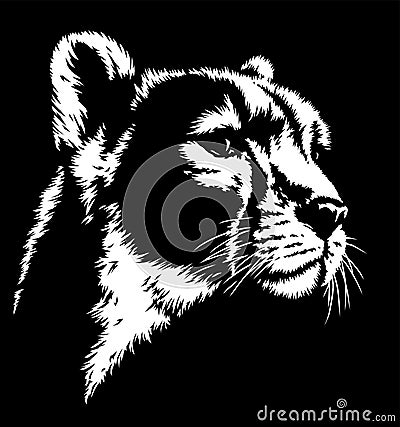 Black and white linear paint draw cheetah illustration art Cartoon Illustration