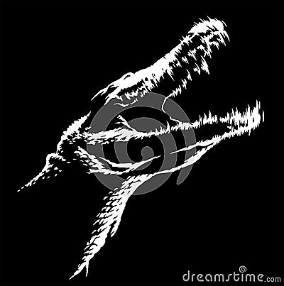 Black and white linear paint draw crocodile illustration art Cartoon Illustration