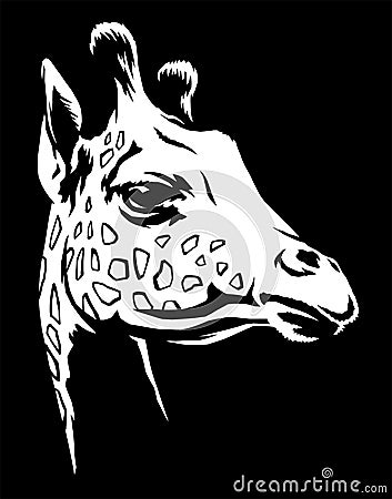 Black and white linear paint draw giraffe illustration art Cartoon Illustration