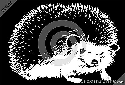 Black and white linear paint draw hedgehog vector illustration art Vector Illustration