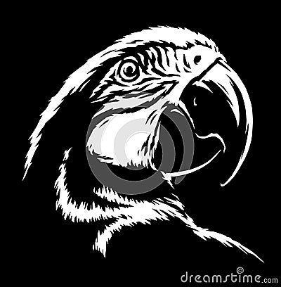 Black and white linear paint draw parrot illustration art Cartoon Illustration