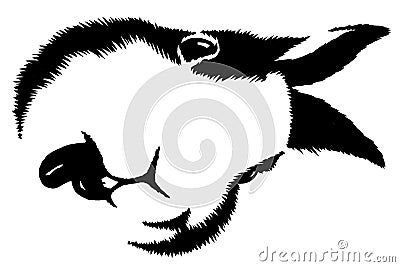 Black and white linear paint draw rabbit illustration Cartoon Illustration