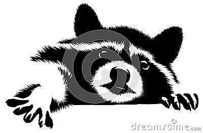 Black and white linear paint draw raccoon illustration Cartoon Illustration