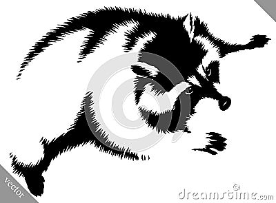 Black and white linear paint draw raccoon vector illustration Vector Illustration