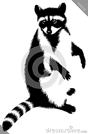 Black and white linear paint draw raccoon vector illustration Vector Illustration