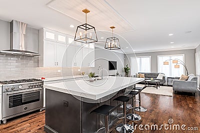 A black and white modern kitchen looking towards a living room. Editorial Stock Photo