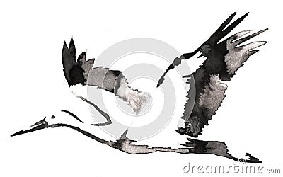 Black and white monochrome painting with water and ink draw crane bird illustration Cartoon Illustration