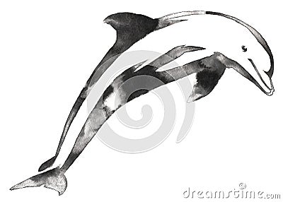 Black and white monochrome painting with water and ink draw dolphin illustration Cartoon Illustration