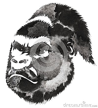 Black and white monochrome painting with water and ink draw monkey illustration Cartoon Illustration