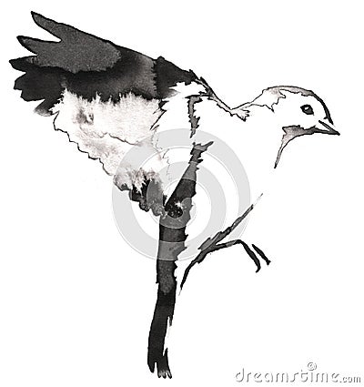 Black and white monochrome painting with water and ink draw tit bird illustration Cartoon Illustration