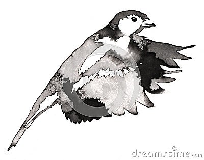 Black and white monochrome painting with water and ink draw tit bird illustration Cartoon Illustration
