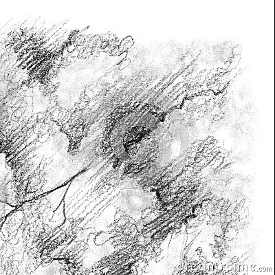 Black and white monochrome tree nature pencil sketch line art texture Stock Photo