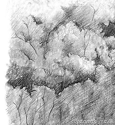 Black and white monochrome tree nature pencil sketch line art texture Stock Photo