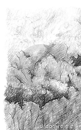 Black and white monochrome tree nature pencil sketch line art texture Stock Photo