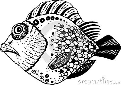 Black and white ornamental fish Vector Illustration