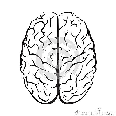 Black and white outline brain mark from top view. Vector Illustration
