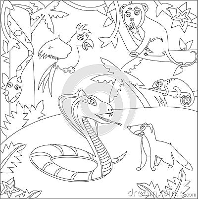 A black and white outline image of jungle animals cobra, mongoose, boa, a parrot, a monkey, chameleon. Vector Illustration