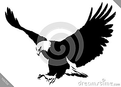 Black and white paint draw eagle bird vector illustration Vector Illustration