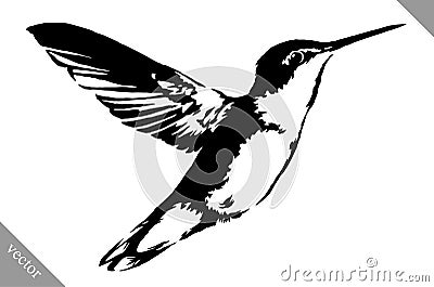 Black and white paint draw eagle hummingbird vector illustration Vector Illustration
