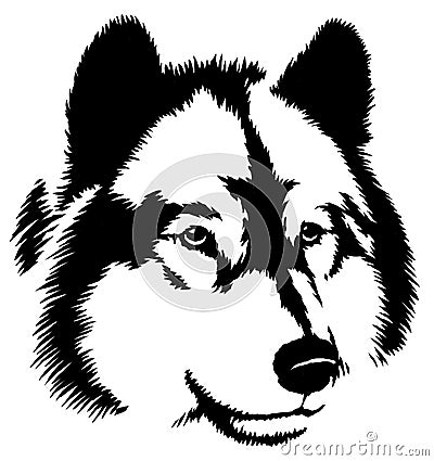 Black And White Paint Draw Wolf Illustration Stock Illustration - Image