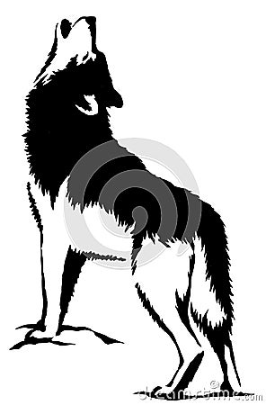 Black and white paint draw wolf illustration Cartoon Illustration