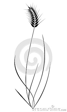 Black and white pattern of spike of cereals with stem and leaves. Harvesting and harvesting. Vector Illustration