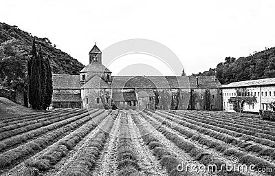 Black and white photo of Abbey Senanque of Provence Stock Photo